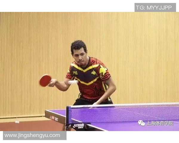 武汉乒乓球队的奋斗与荣耀：一段不平凡的突破之路纪实