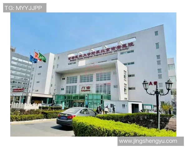 广州排球队的华丽转身与未来展望全景解析 广州排球队的华丽转身与未来展望全景解析