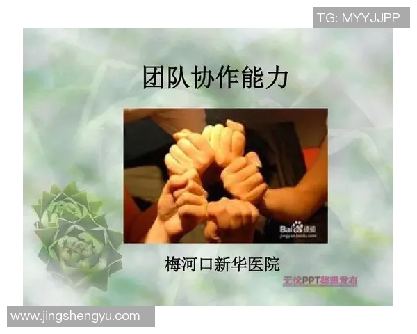 赛后复盘武汉排球队与成都排球队的团队协作与战术分析 赛后复盘武汉排球队与成都排球队的团队协作与战术分析