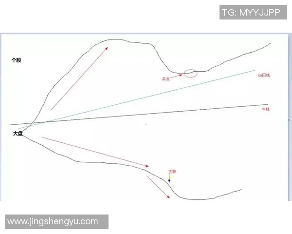 杭州排球队的节奏解析与排球热点的深度探讨