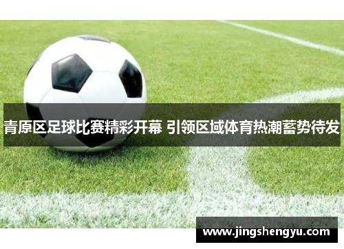 青原区足球比赛精彩开幕 引领区域体育热潮蓄势待发