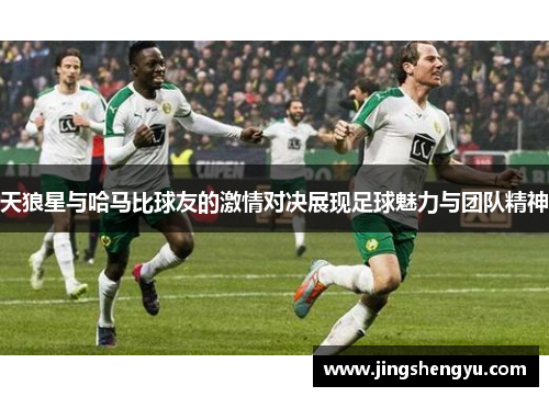 天狼星与哈马比球友的激情对决展现足球魅力与团队精神